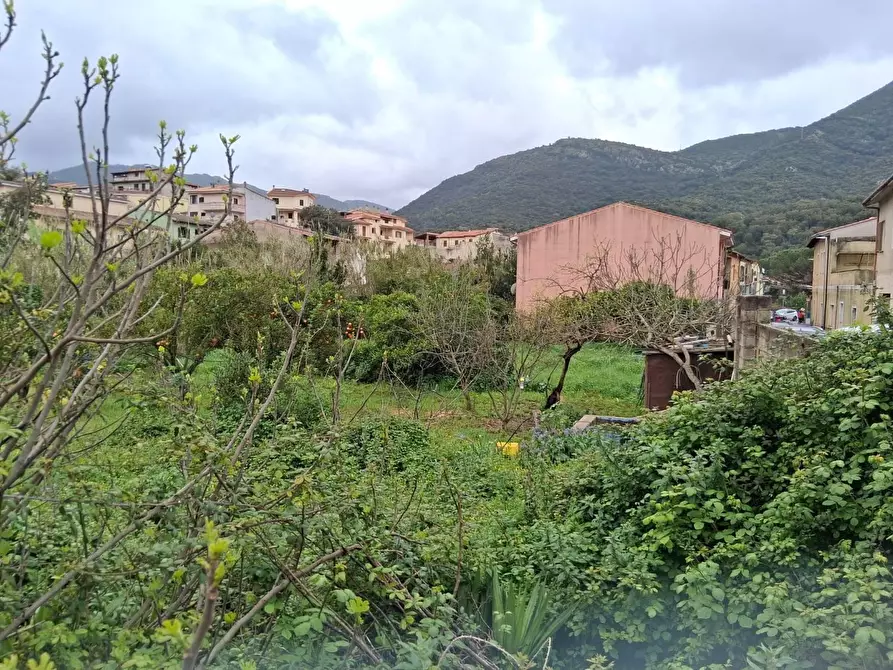 Immagine 7 di Terreno residenziale in vendita  in VIA Lussu a Fluminimaggiore