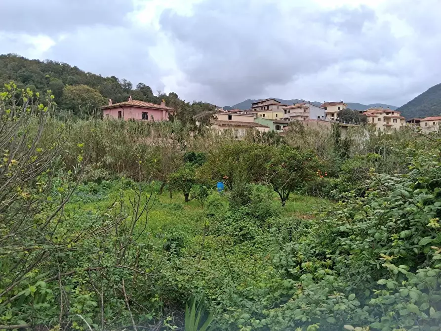 Immagine 8 di Terreno residenziale in vendita  in VIA Lussu a Fluminimaggiore
