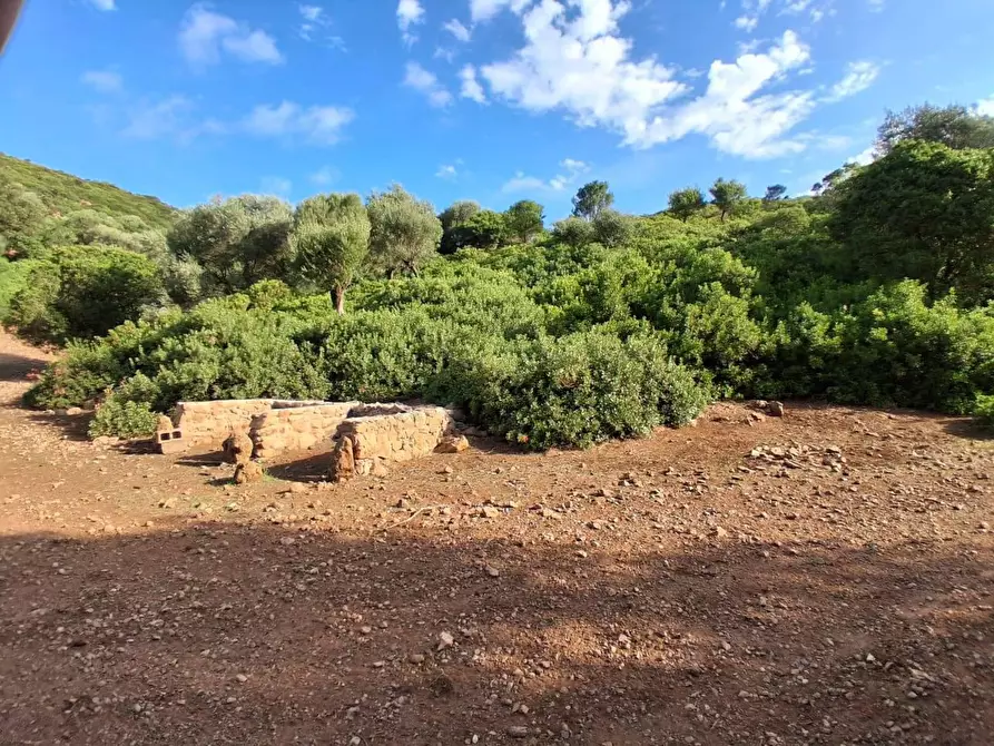 Immagine 21 di Terreno residenziale in vendita  in STRADA Provinciale 83 a Iglesias