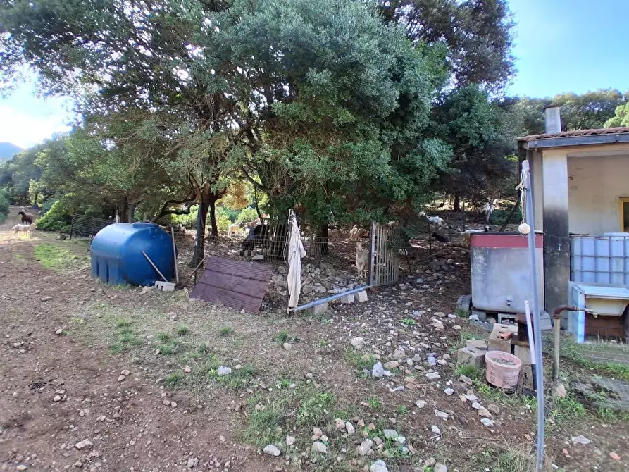 Immagine 22 di Terreno residenziale in vendita  in STRADA Provinciale 83 a Iglesias