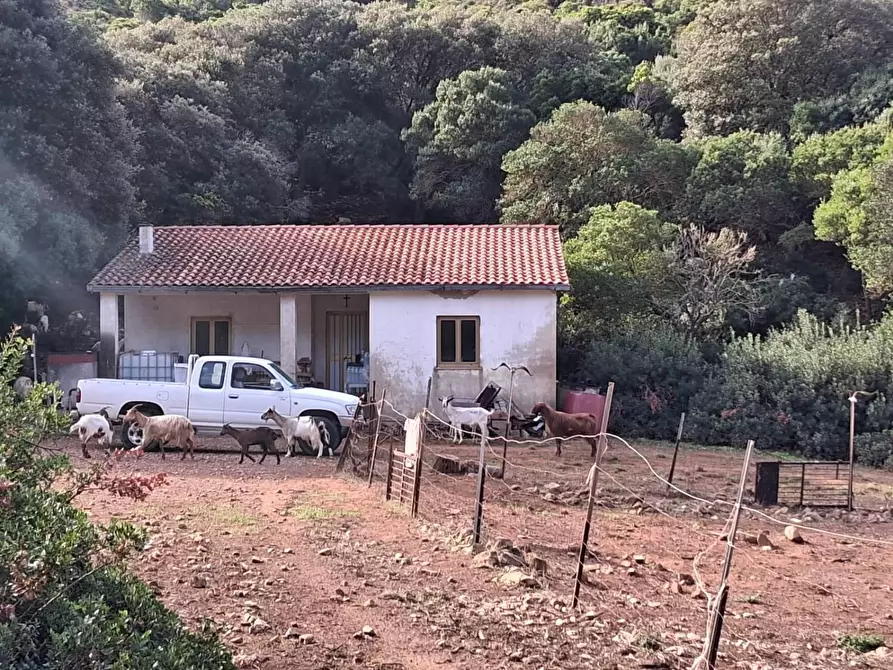 Immagine 6 di Terreno residenziale in vendita  in STRADA Provinciale 83 a Iglesias