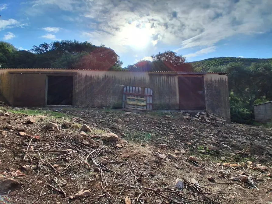 Immagine 15 di Terreno residenziale in vendita  in STRADA Provinciale 83 a Iglesias