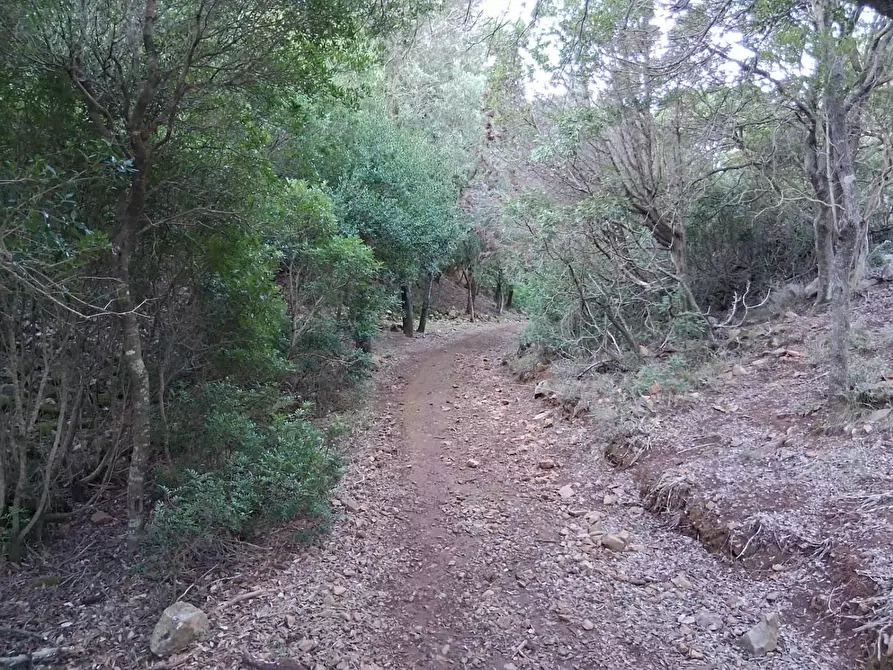 Immagine 26 di Terreno residenziale in vendita  in STRADA Provinciale 83 a Iglesias