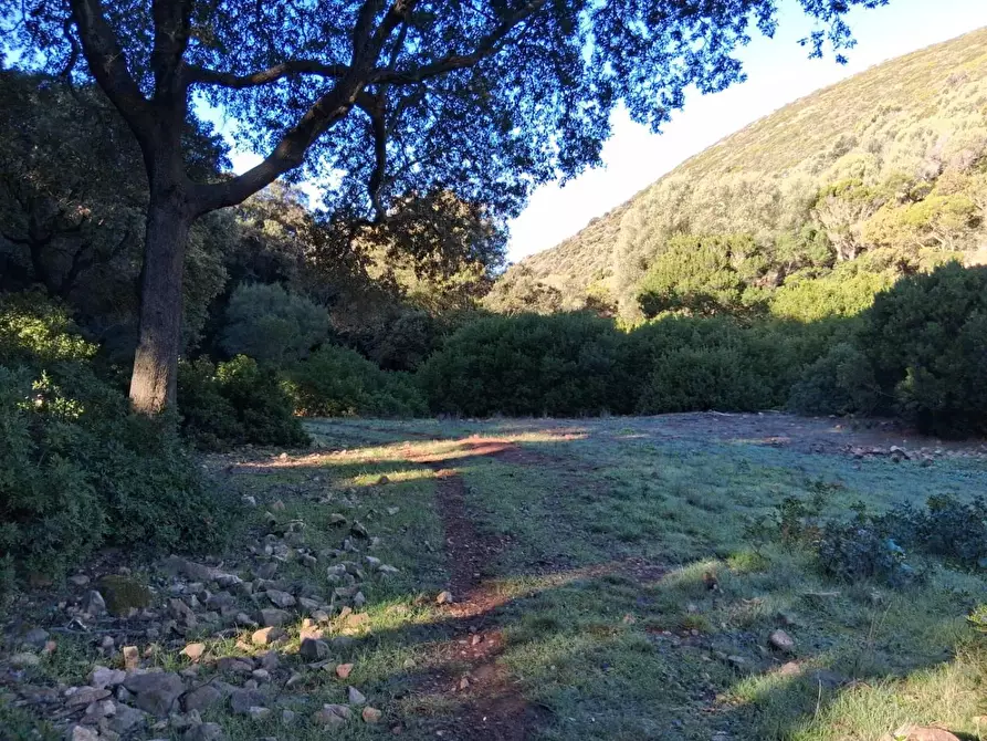 Immagine 24 di Terreno residenziale in vendita  in STRADA Provinciale 83 a Iglesias