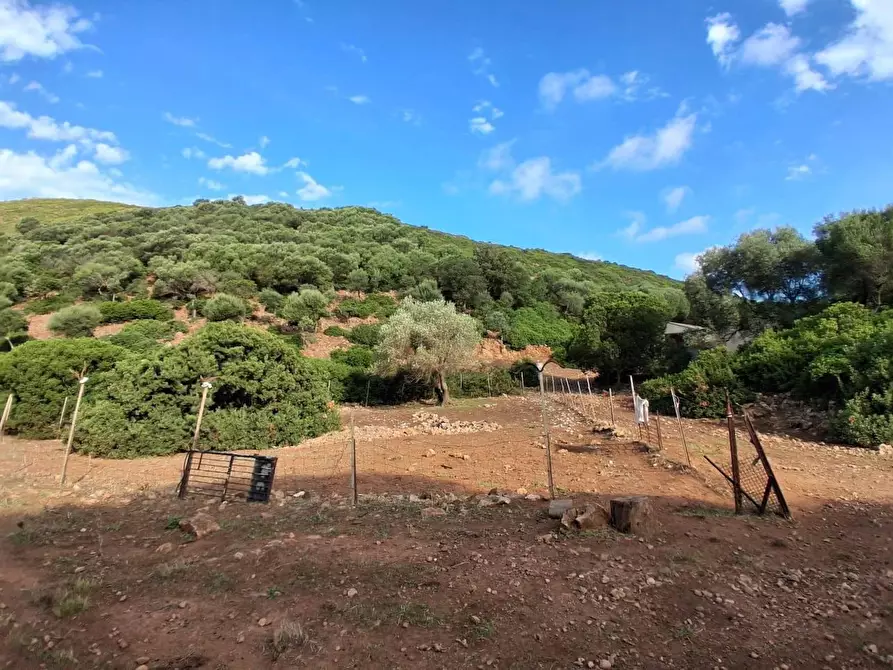 Immagine 23 di Terreno residenziale in vendita  in STRADA Provinciale 83 a Iglesias