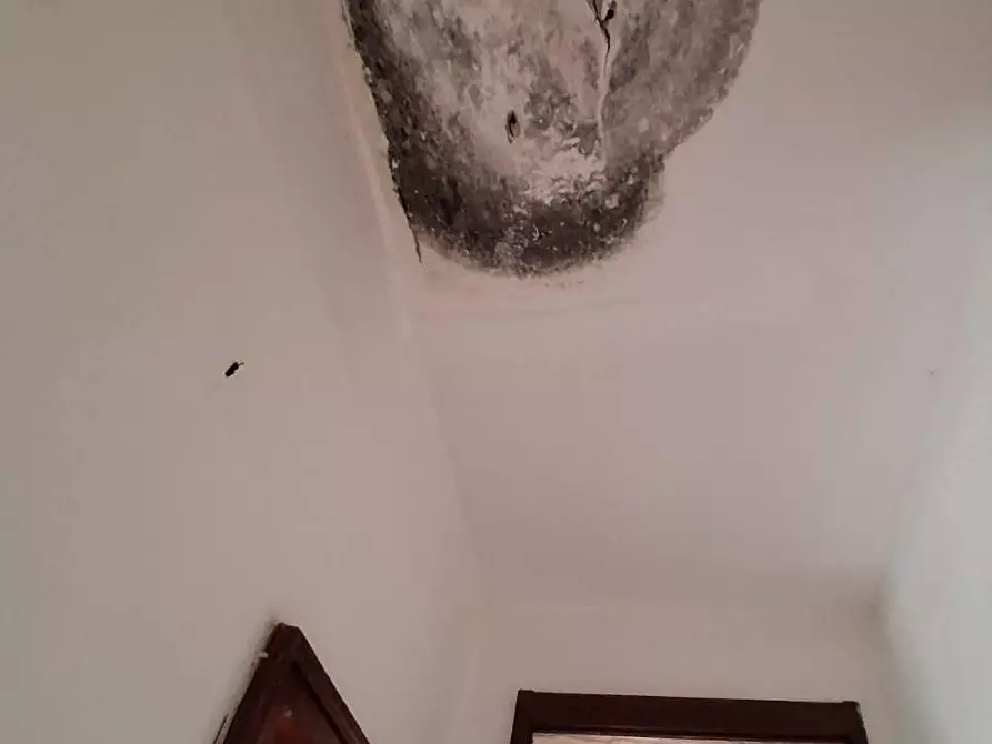 Immagine 20 di Appartamento in vendita  in VIA Musio a Iglesias