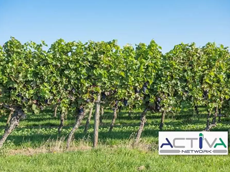 Immagine 5 di Attività commerciale in vendita  in VIA TORINO a Castiglione Torinese