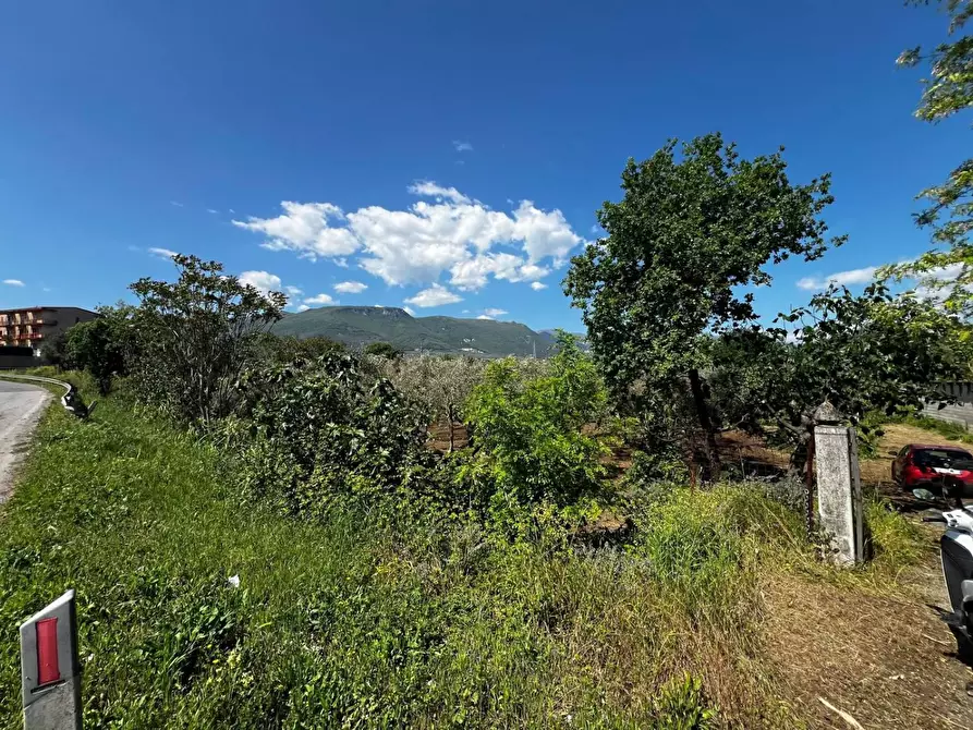 Immagine 4 di Terreno residenziale in vendita  in VIA ss 19 a Eboli