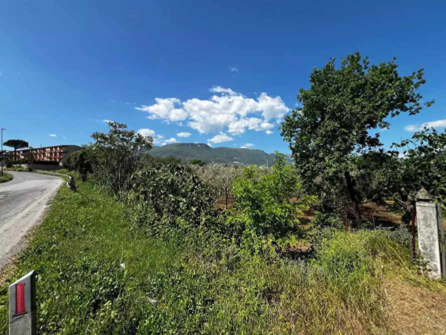 Immagine 3 di Terreno residenziale in vendita  in VIA ss 19 a Eboli