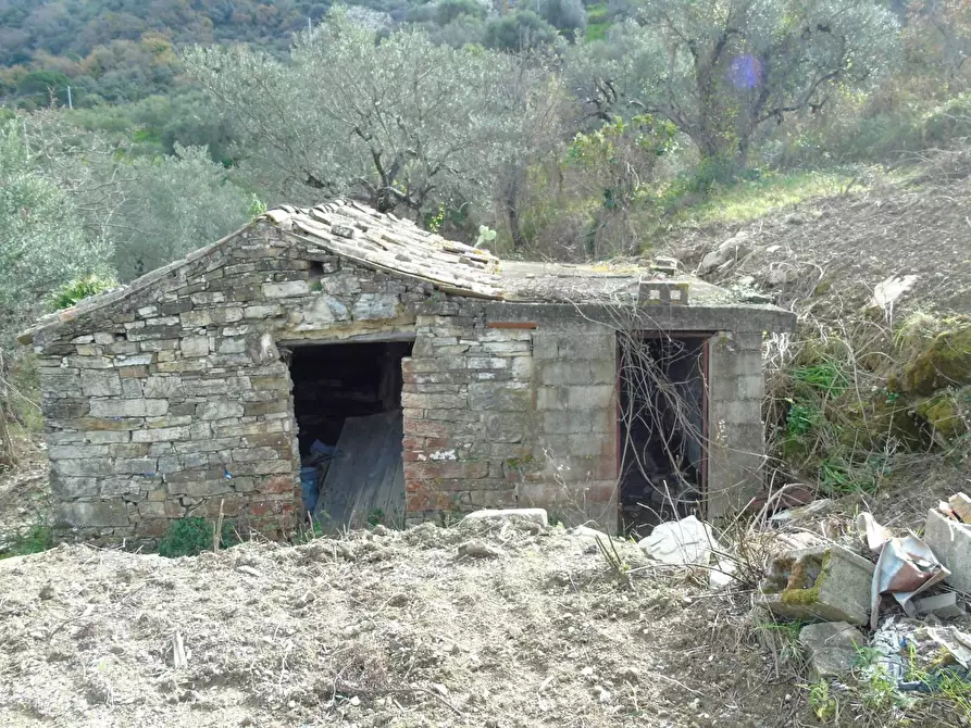 Immagine 13 di Terreno residenziale in vendita  in LOCALITA'CANTARI a San Mauro Cilento