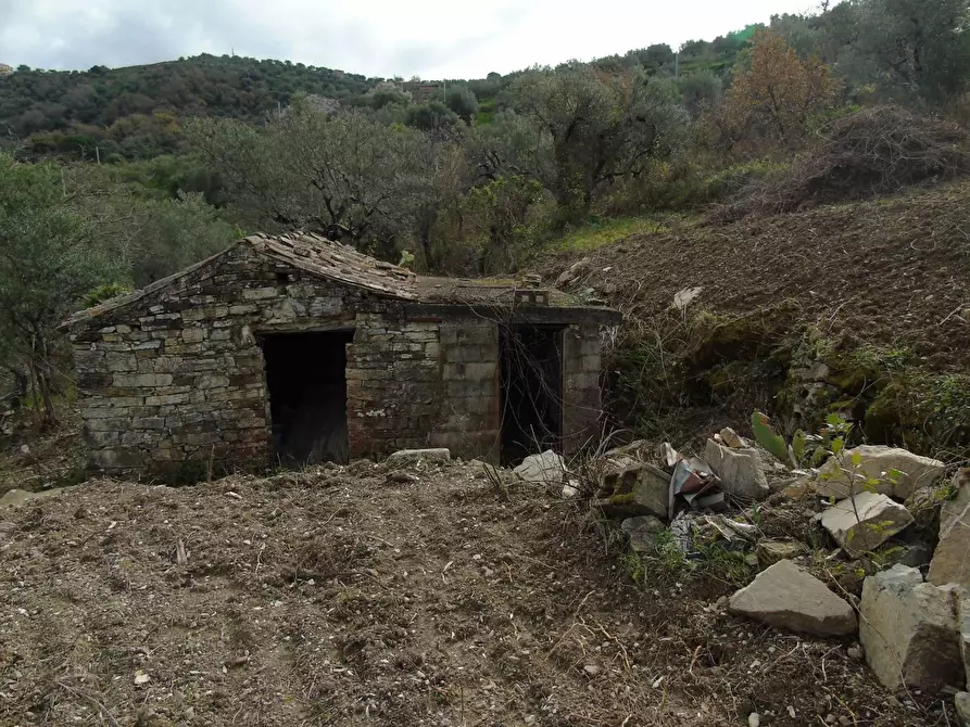 Immagine 14 di Terreno residenziale in vendita  in LOCALITA'CANTARI a San Mauro Cilento