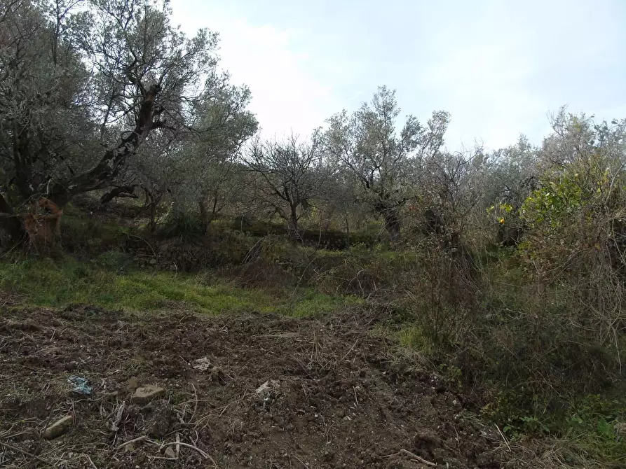 Immagine 8 di Terreno residenziale in vendita  in LOCALITA'CANTARI a San Mauro Cilento