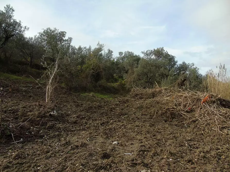 Immagine 11 di Terreno residenziale in vendita  in LOCALITA'CANTARI a San Mauro Cilento