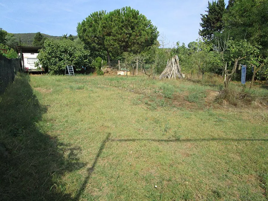 Immagine 1 di Terreno agricolo in vendita  in Asca 71 a Piombino