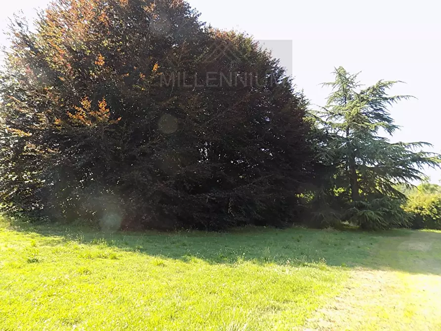 Immagine 25 di Rustico / casale in vendita  in VIA ghevio a Arona