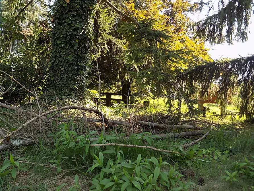 Immagine 22 di Rustico / casale in vendita  in VIA ghevio a Arona