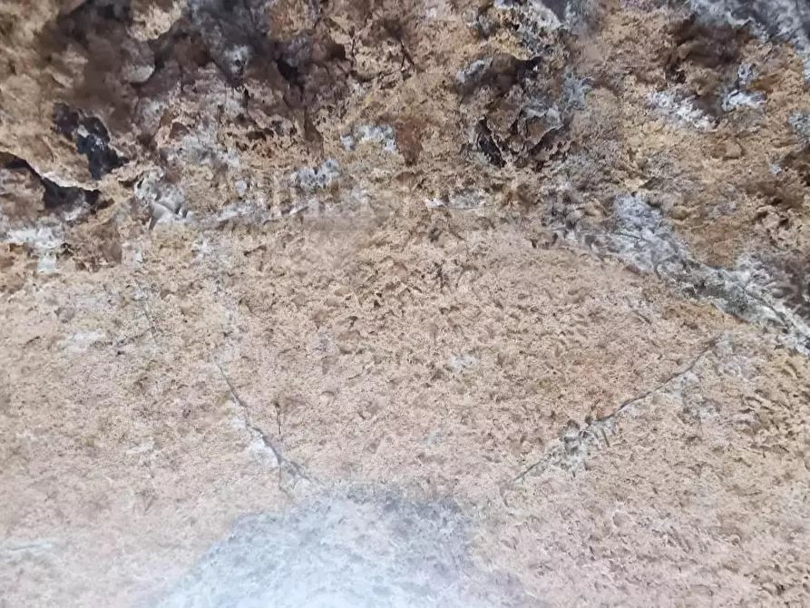Immagine 17 di Appartamento in vendita  in VIA san carlo a Arona