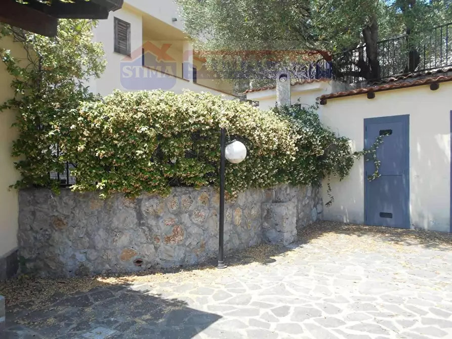 Immagine 4 di Villa in vendita  in LOCALITA'Stretta a Camerota