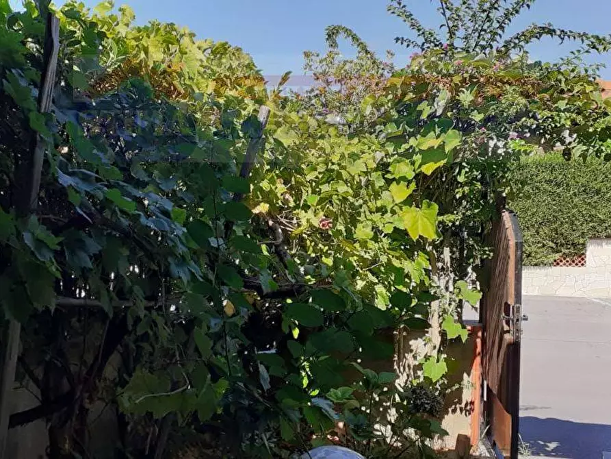 Immagine 2 di Villa in vendita  in VIA Antonio Scopelliti a Santa Maria Del Cedro