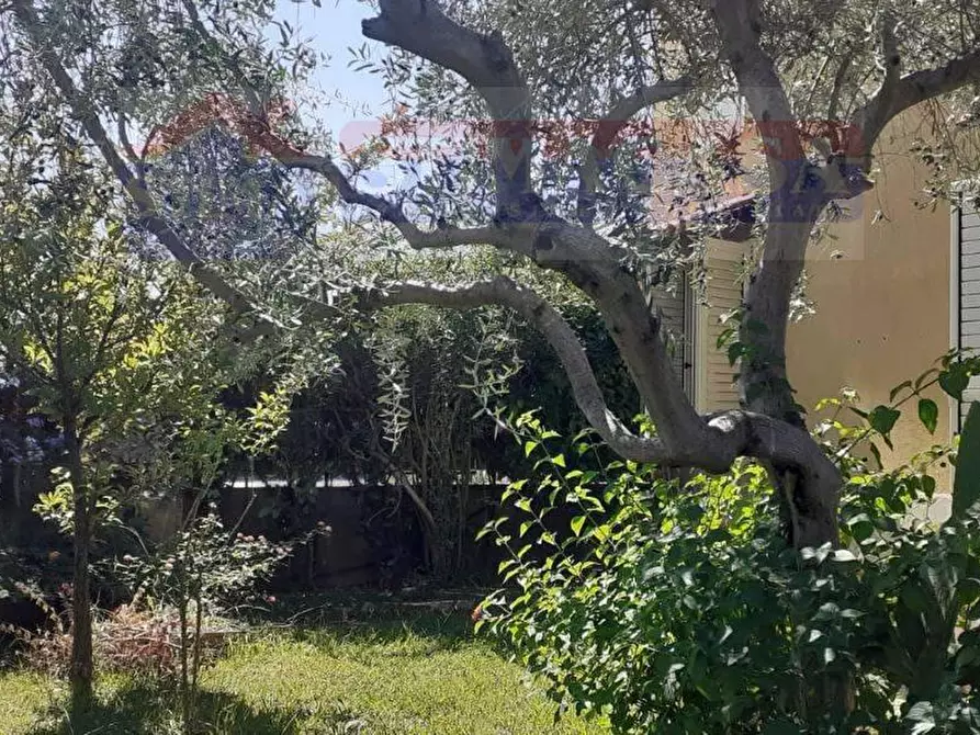 Immagine 5 di Villa in vendita  in VIA Antonio Scopelliti a Santa Maria Del Cedro