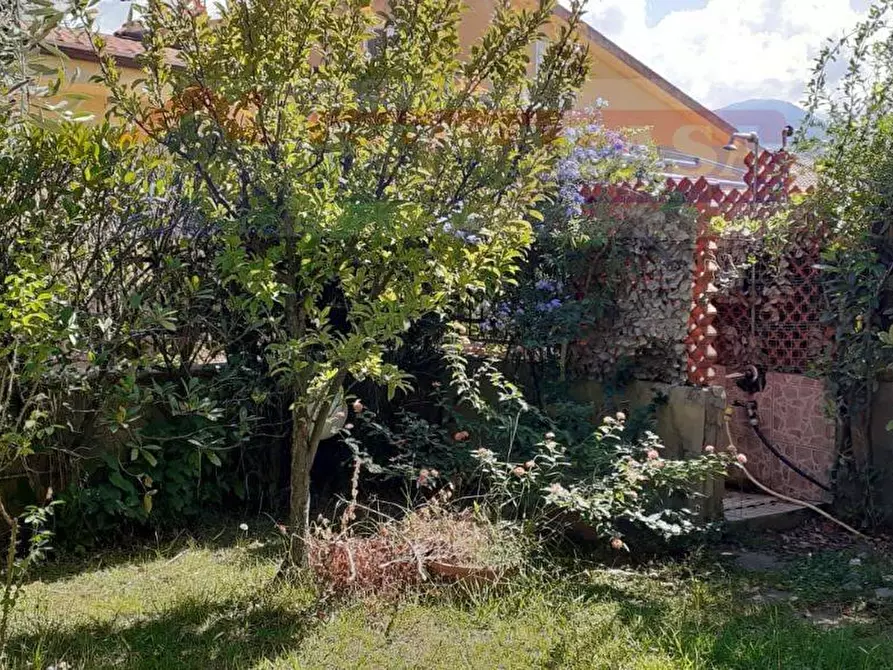 Immagine 6 di Villa in vendita  in VIA Antonio Scopelliti a Santa Maria Del Cedro