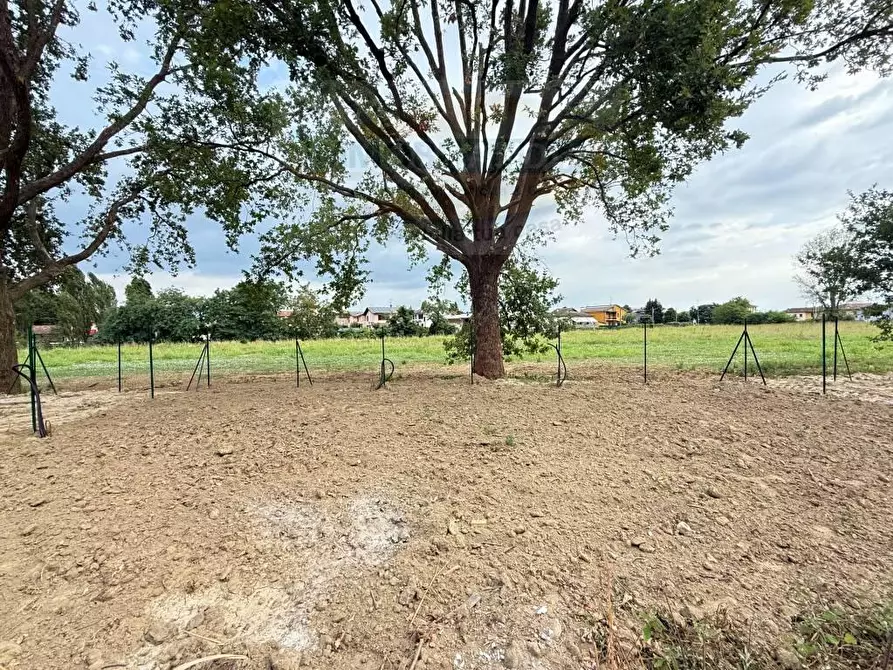 Immagine 5 di Casa bifamiliare in vendita  in VIA SAN ROCCO 1 a Comazzo