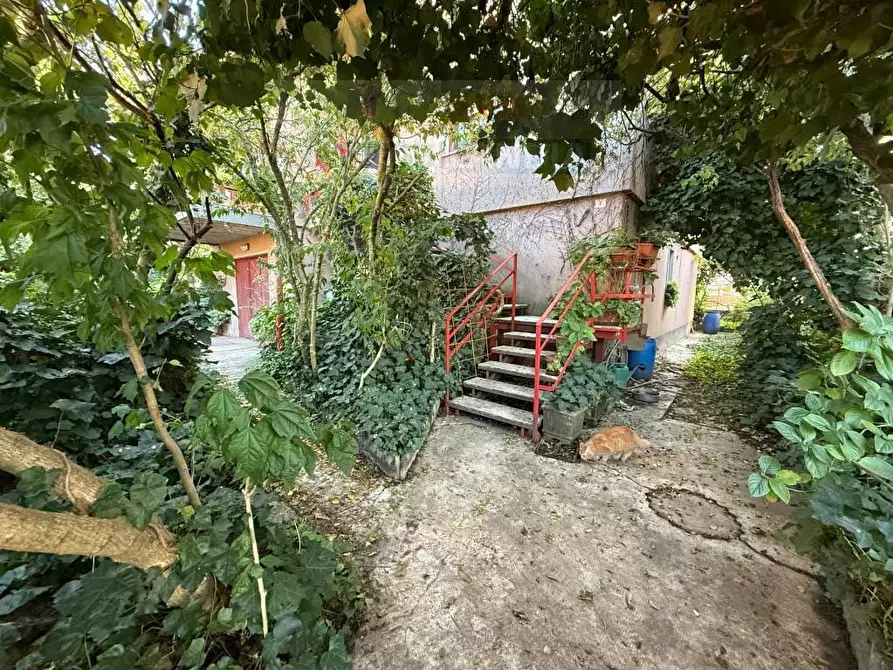 Immagine 12 di Villa in vendita  in VIA IV novembre 4 a Zelo Buon Persico