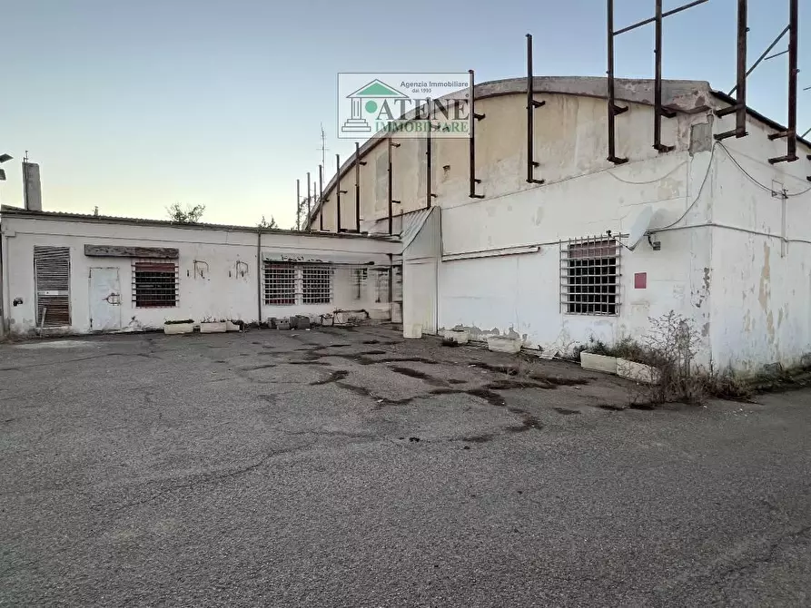 Immagine 3 di Capannone industriale in affitto  in VIA 131 ex a Sestu