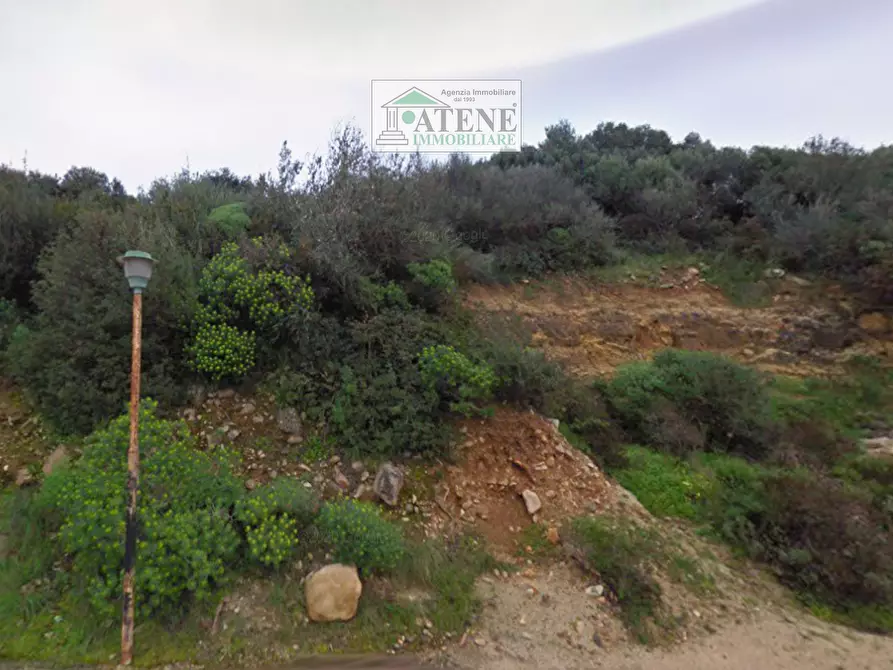 Immagine 2 di Terreno residenziale in vendita  in VIA degli abeti a Quartu Sant'elena