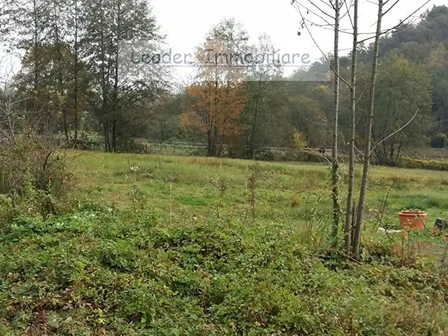 Immagine 3 di Terreno agricolo in vendita  a Rodero