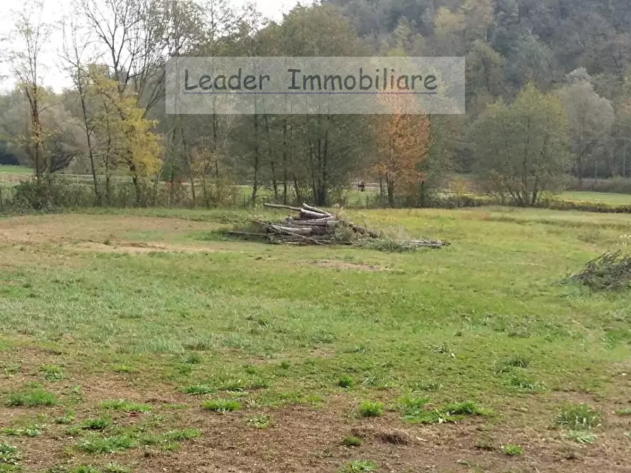 Immagine 4 di Terreno agricolo in vendita  a Rodero