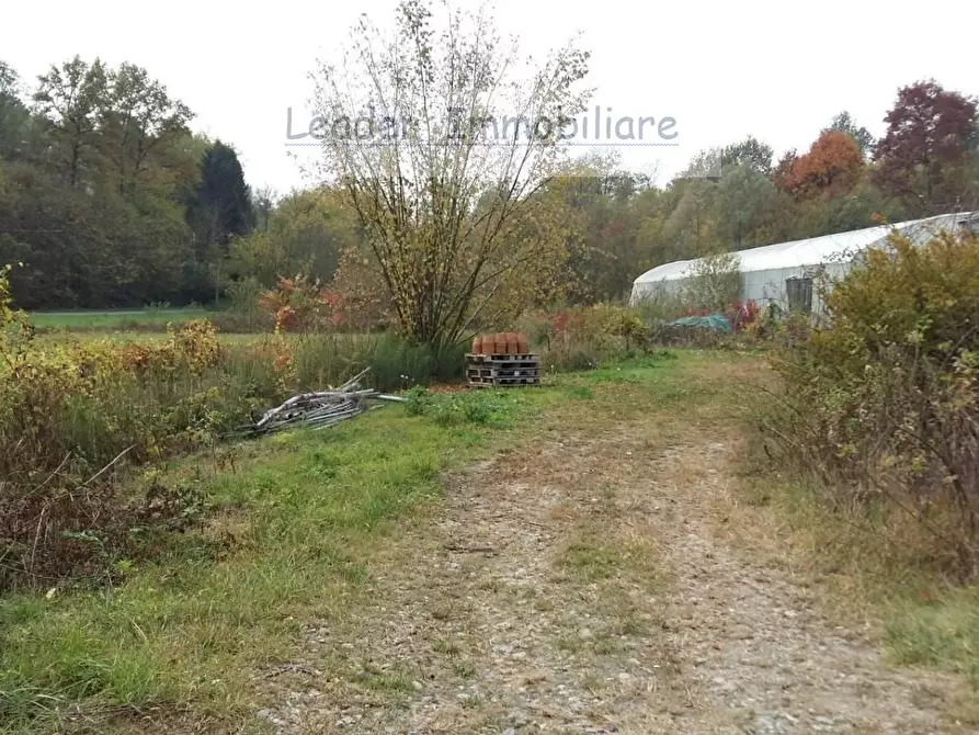Immagine 2 di Terreno agricolo in vendita  a Rodero