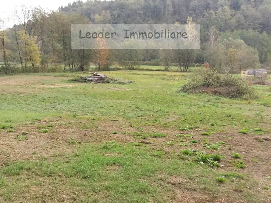 Immagine 5 di Terreno agricolo in vendita  a Rodero