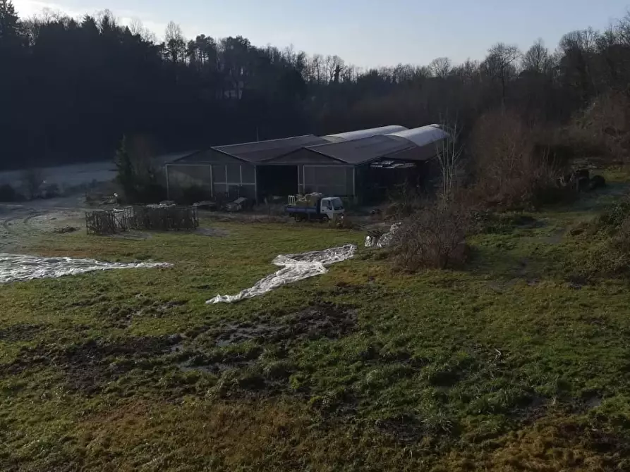 Immagine 6 di Terreno agricolo in vendita  a Rodero