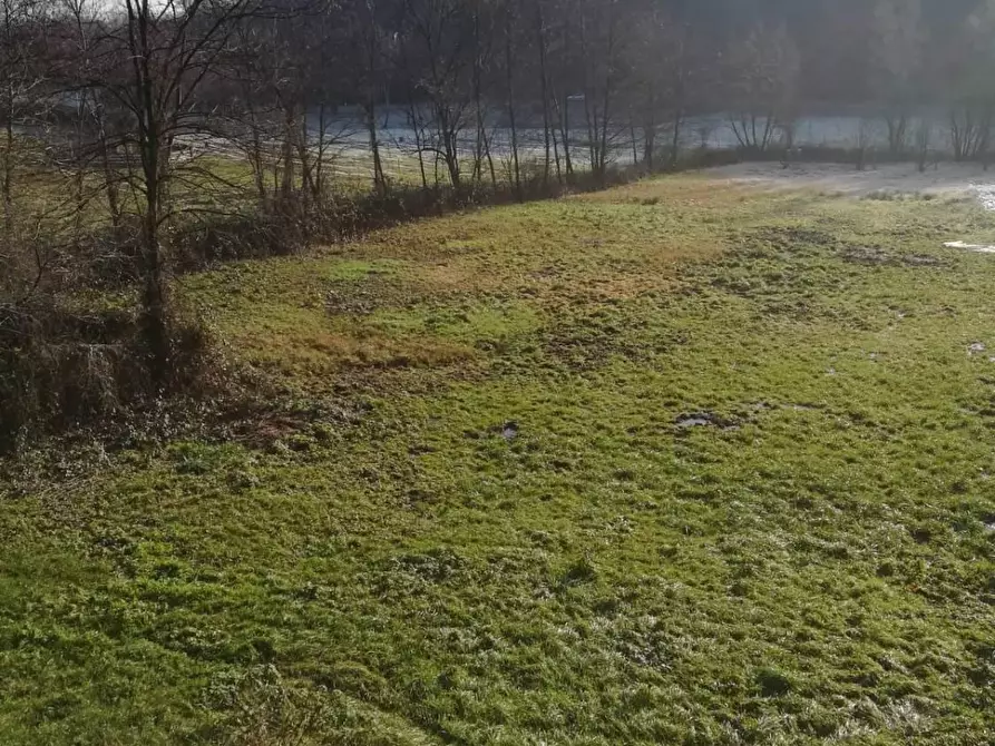 Immagine 7 di Terreno agricolo in vendita  a Rodero