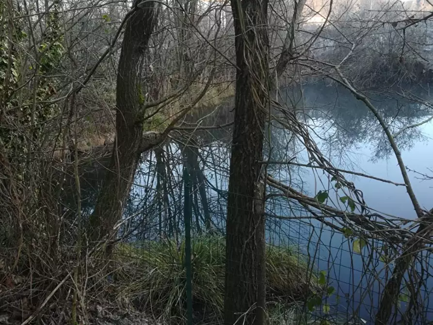 Immagine 8 di Terreno agricolo in vendita  a Rodero