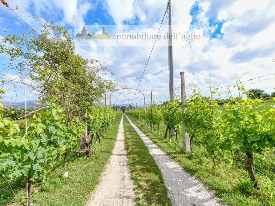 Immagine 8 di Villa in vendita  in VIA DEL GUT 5 a Calcinato