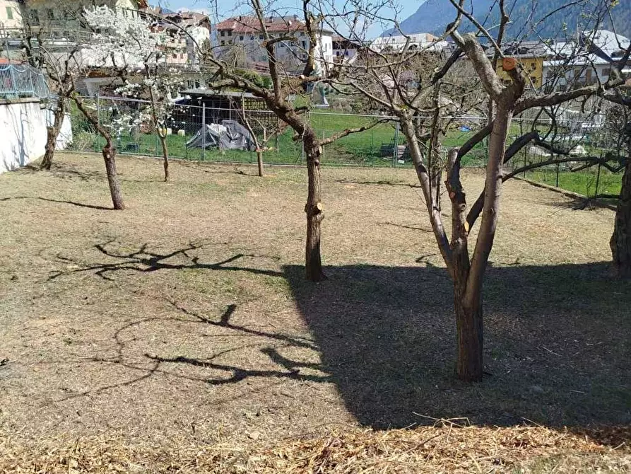 Immagine 21 di Appartamento in vendita  in VIA Molini a Monclassico
