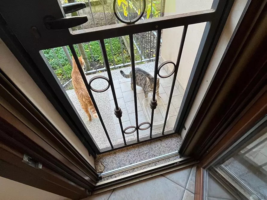 Immagine 12 di Multiproprietà in vendita  in VIA San Silvestre 1 a Silvi