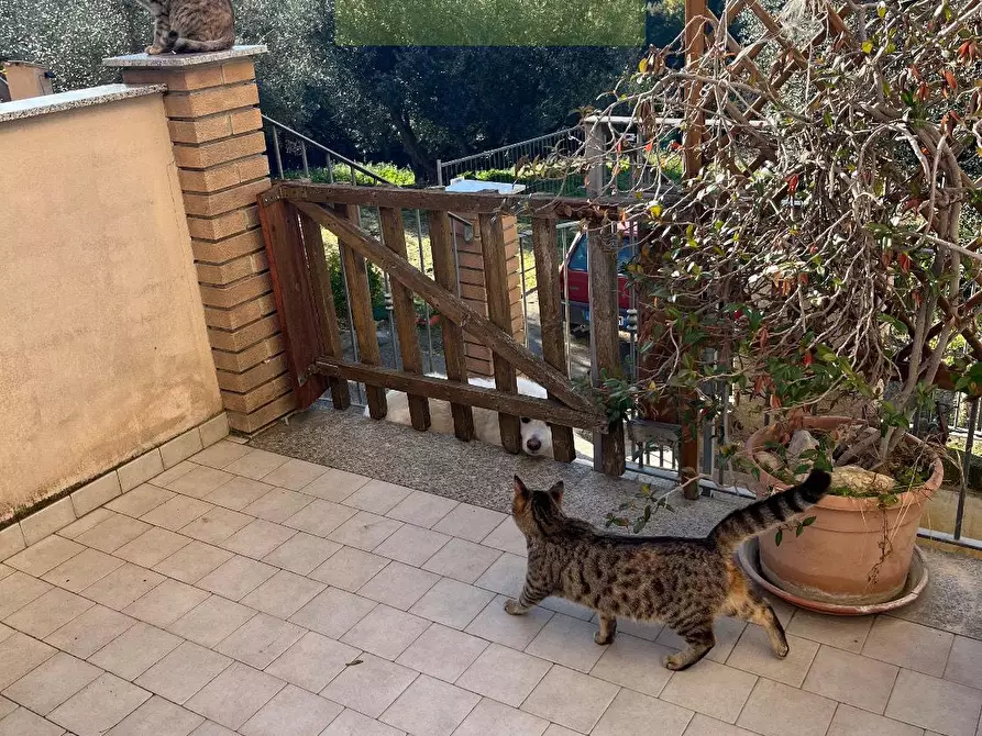 Immagine 14 di Multiproprietà in vendita  in VIA San Silvestre 1 a Silvi