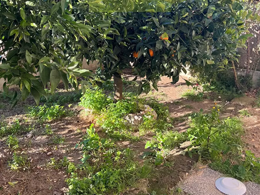 Immagine 17 di Multiproprietà in vendita  in VIA San Silvestre 1 a Silvi