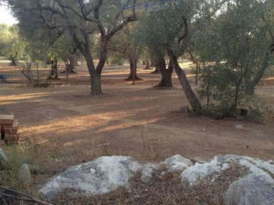 Immagine 3 di Terreno residenziale in vendita  in San Cosimo 23 a Oria