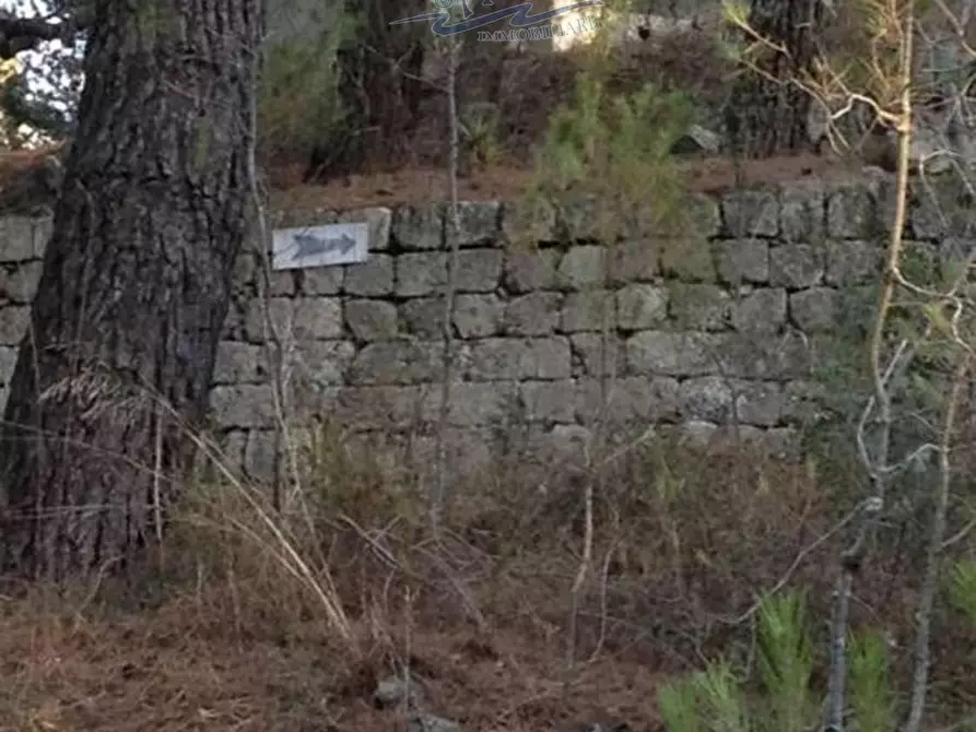 Immagine 15 di Terreno residenziale in vendita  in San Cosimo 23 a Oria