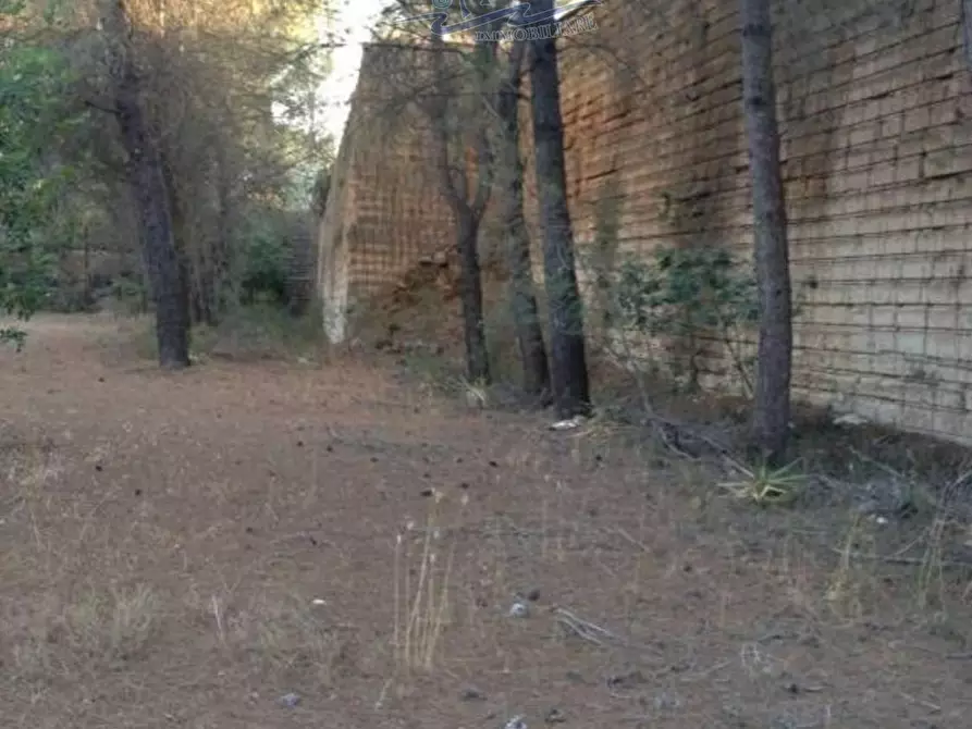 Immagine 11 di Terreno residenziale in vendita  in San Cosimo 23 a Oria