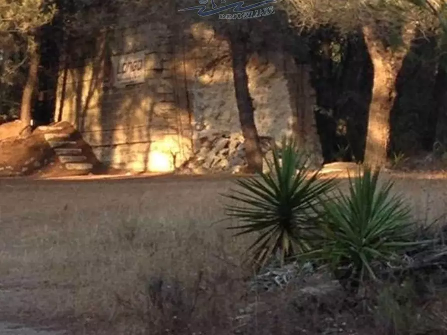 Immagine 12 di Terreno residenziale in vendita  in San Cosimo 23 a Oria