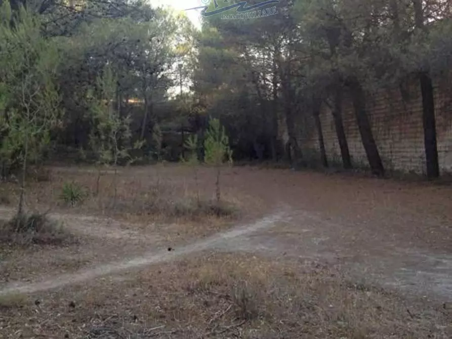 Immagine 16 di Terreno residenziale in vendita  in San Cosimo 23 a Oria