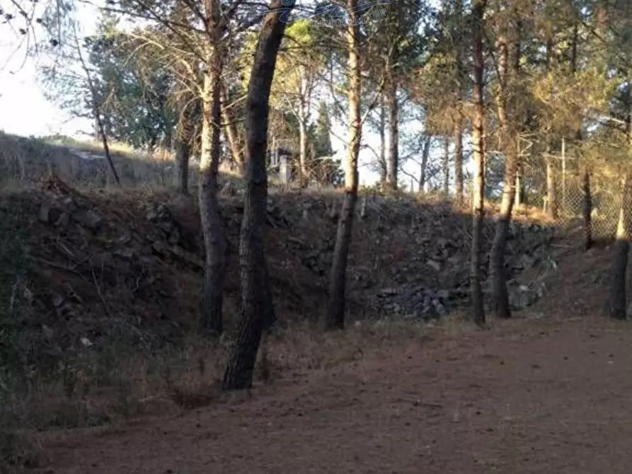 Immagine 19 di Terreno residenziale in vendita  in San Cosimo 23 a Oria