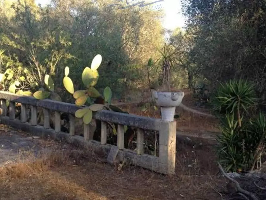 Immagine 20 di Terreno residenziale in vendita  in San Cosimo 23 a Oria