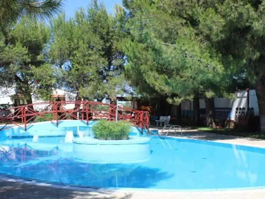 Immagine 4 di Locale commerciale in vendita  in VIA GINESTRE 17 a Turi