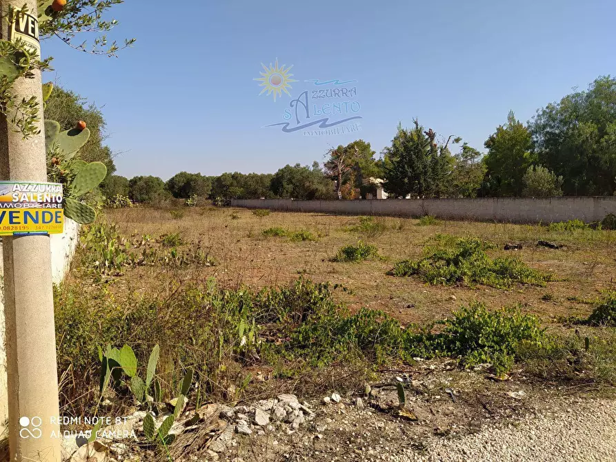 Immagine 4 di Terreno agricolo in vendita  in Provinciale 132 0 a Maruggio